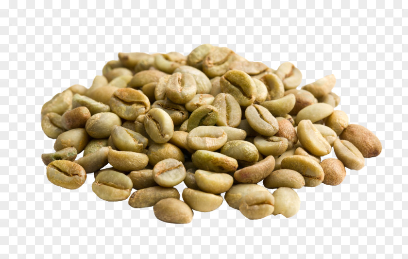 Black Beans Coffee Bean Green Extract Decaffeination Single-origin PNG