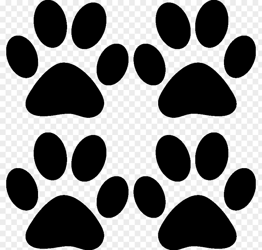 Blackandwhite Snout Dog And Cat PNG