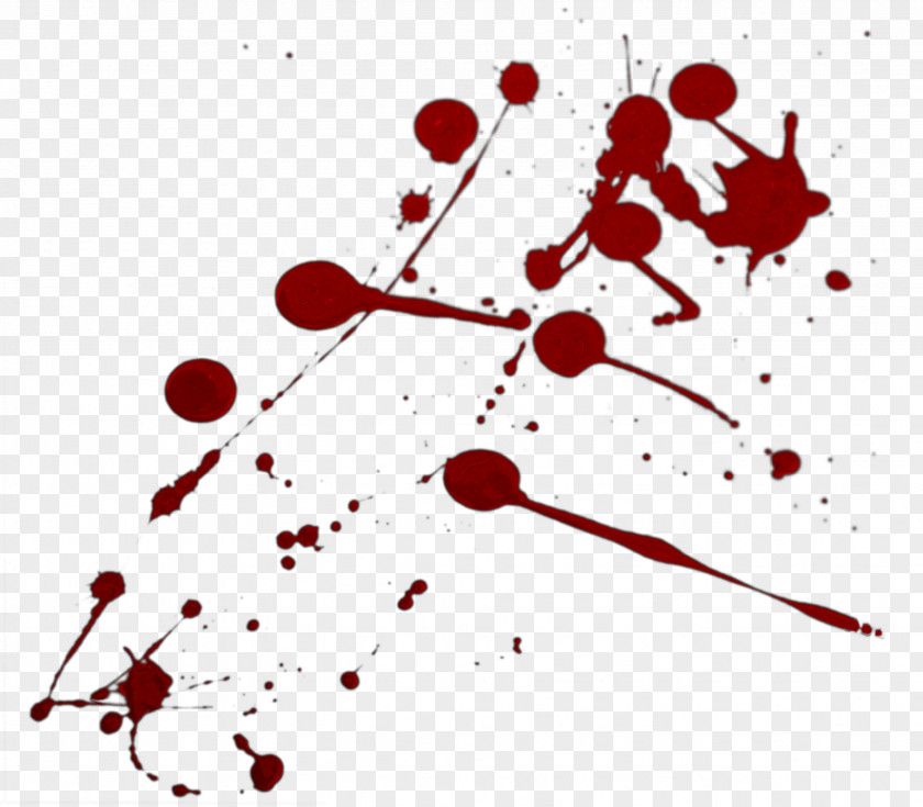 Blood Bloodstain Pattern Analysis Clip Art PNG