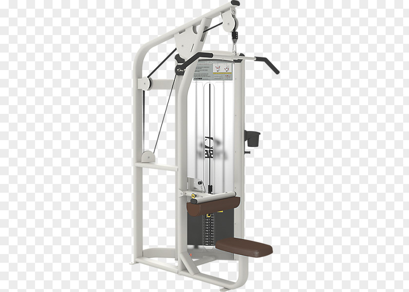 Leaf Pull Down Pulldown Exercise Cybex International Physical Fitness Shoulder PNG