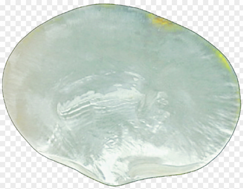 Nacre Pearl Glass Seashell PNG