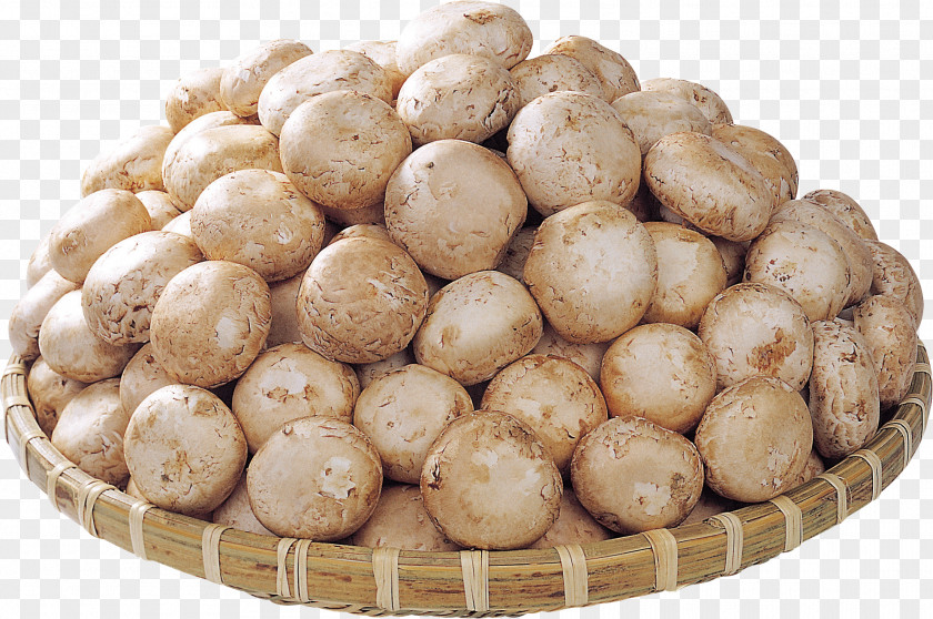 Potato Tuber Ingredient PNG