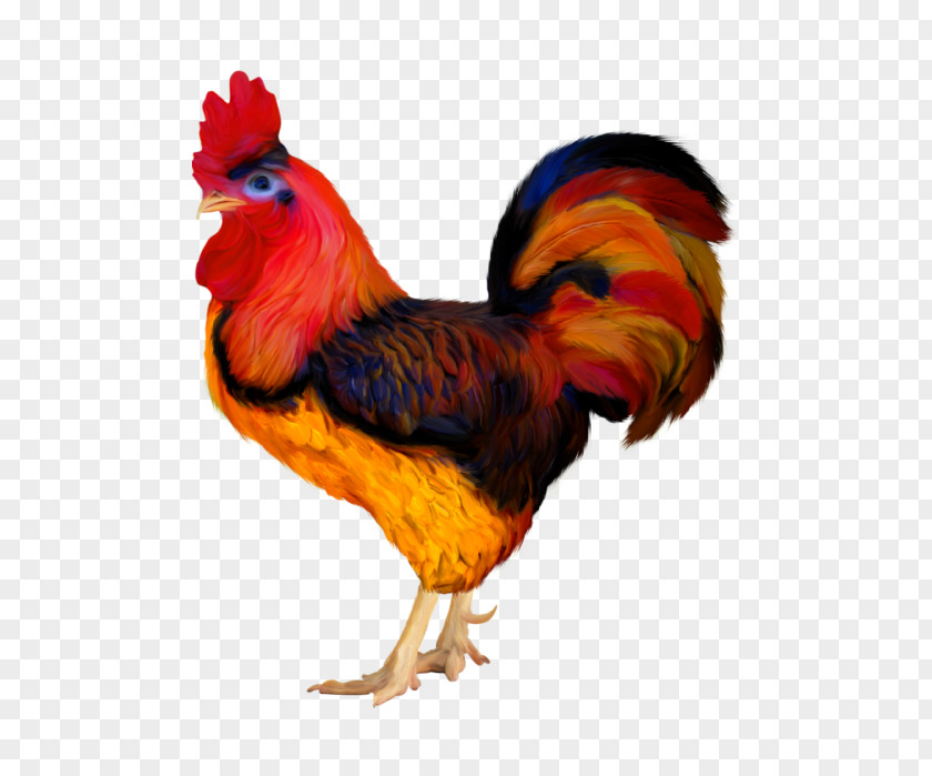 Chicken Rooster Clip Art Adobe Photoshop Bird PNG