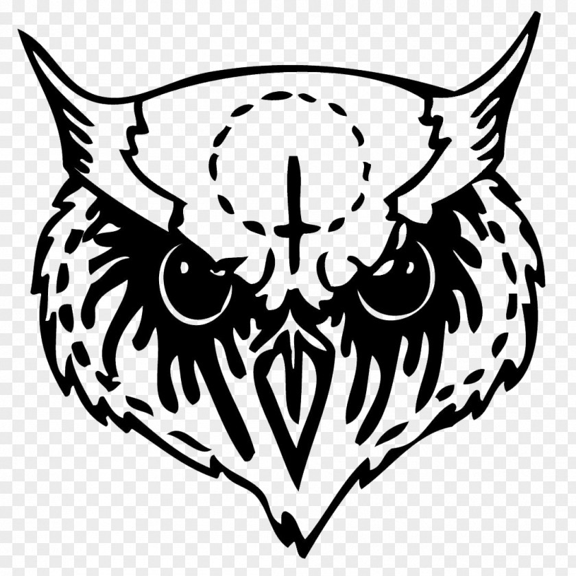 Owl Longboard Whiskers Clip Art Beak PNG