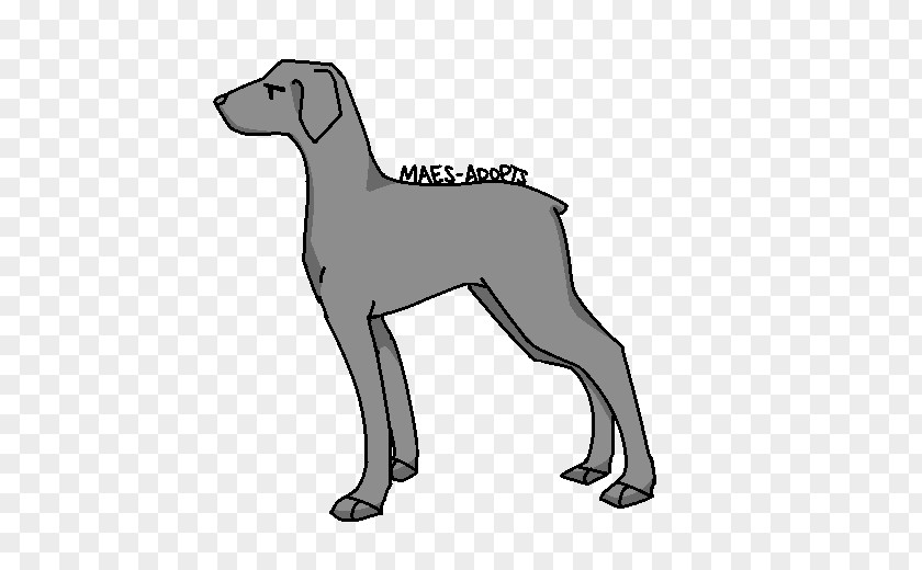 Puppy Dog Breed Italian Greyhound Line Art PNG