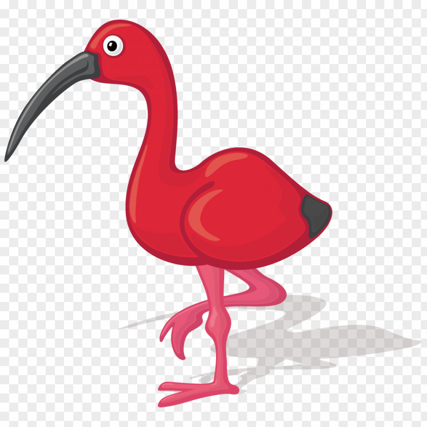 Red Flamingo Bird Ibis Cartoon Illustration PNG