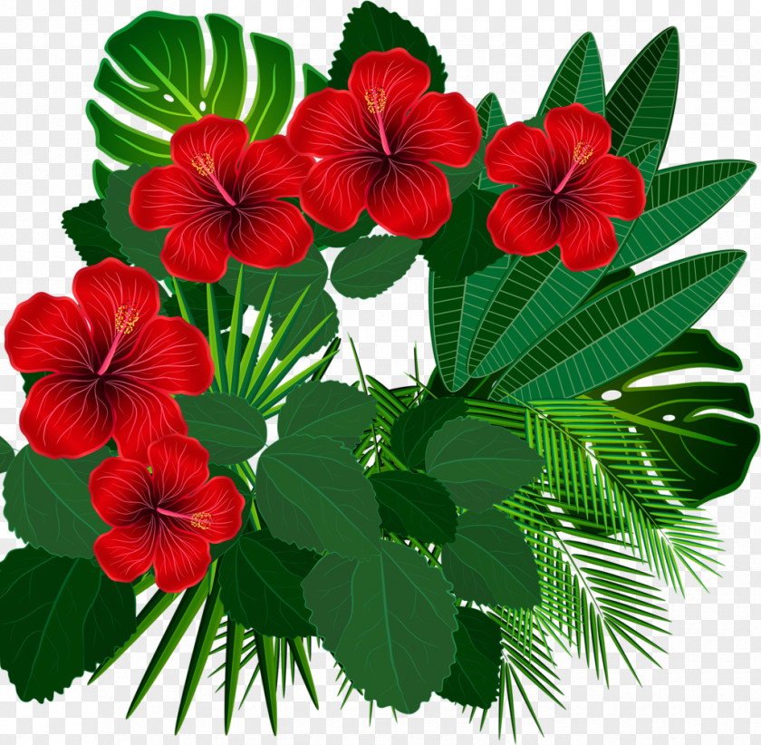 Aloha Floral Design Tropics PNG