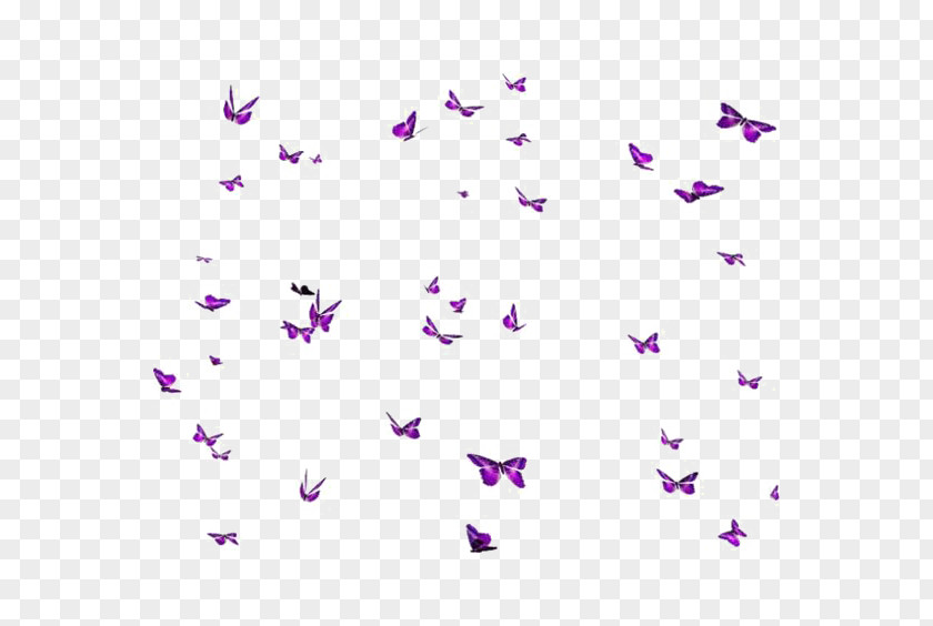 Butterfly Shading Designer Clip Art PNG