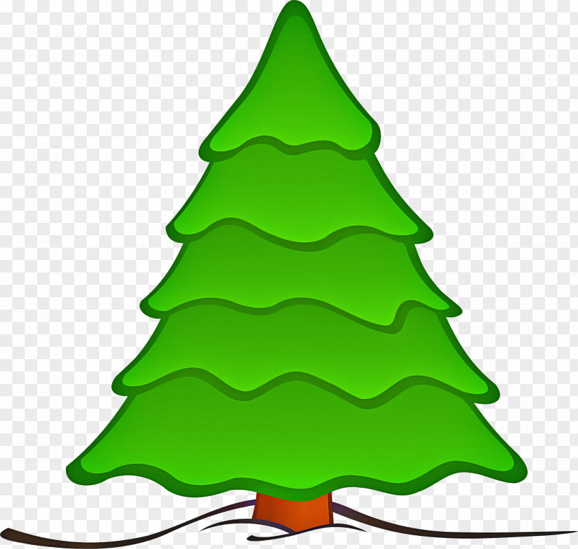 Conifer Spruce Christmas Tree PNG