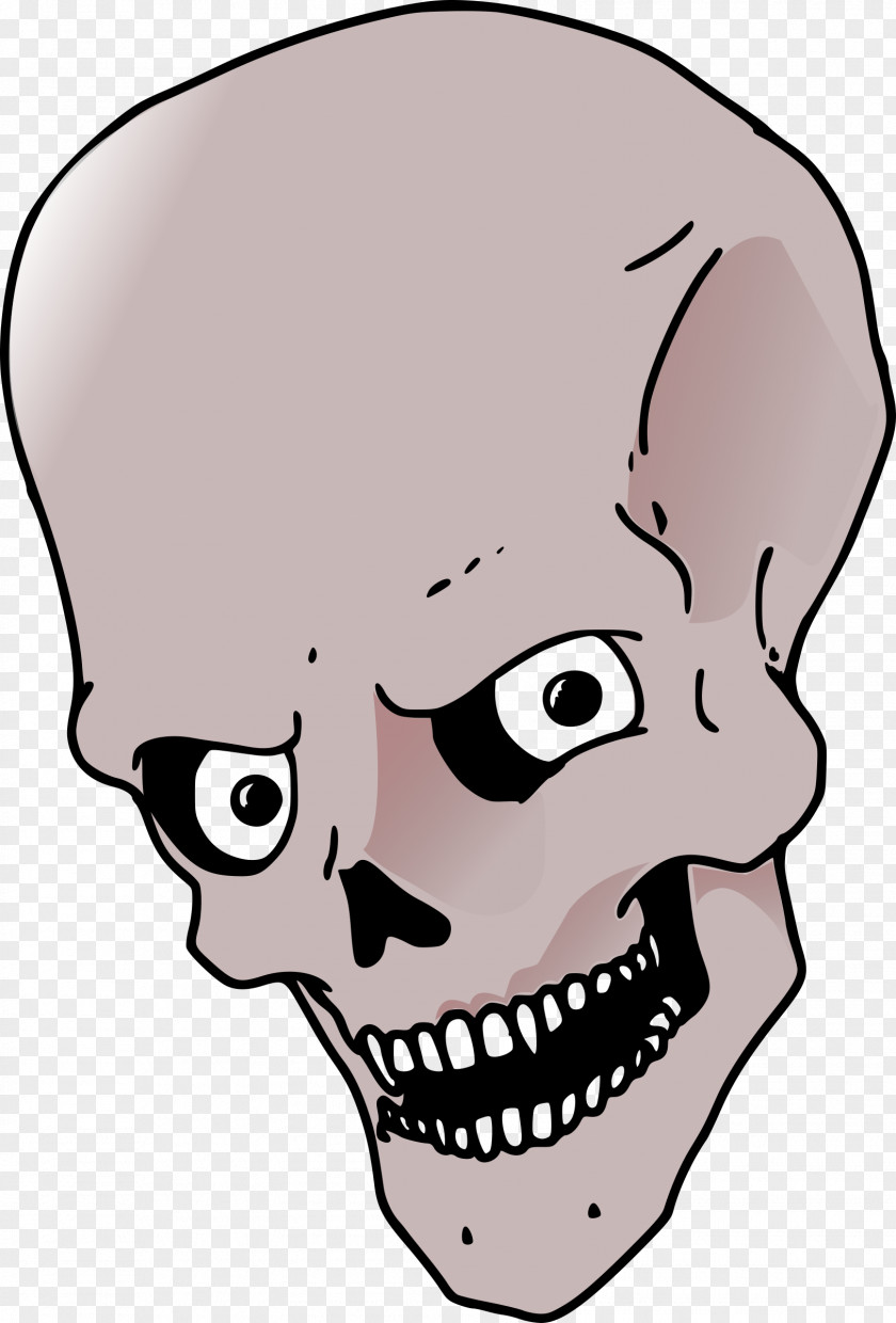 Skulls Bone Skull Clip Art PNG