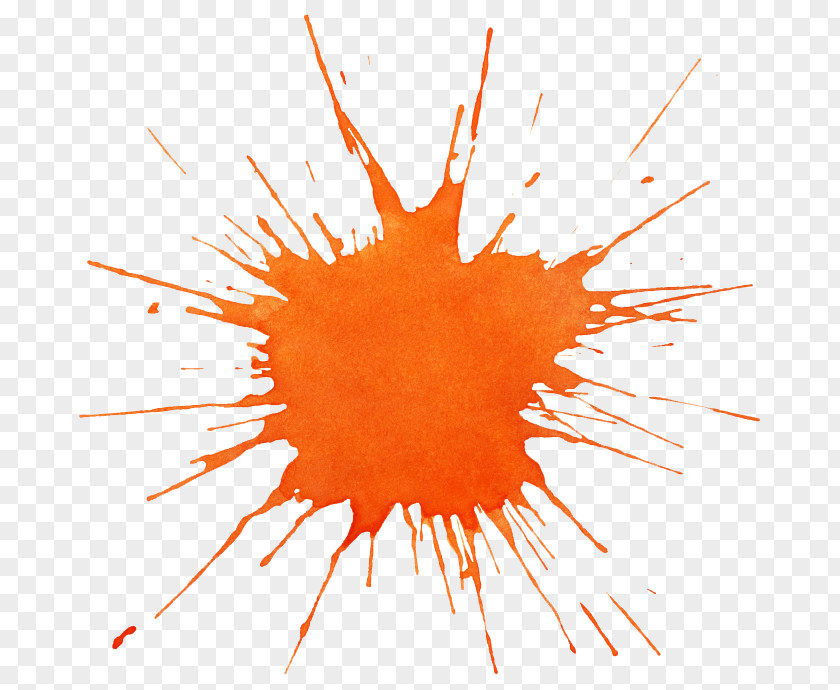 Watercolor Paints Painting Orange Splash PNG