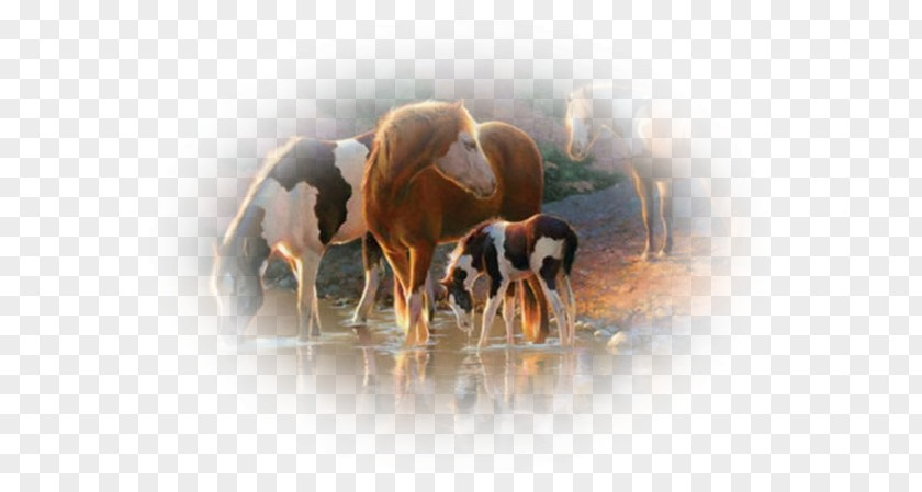Couple Relationship Jigsaw Puzzles Castorland Horse Game PNG