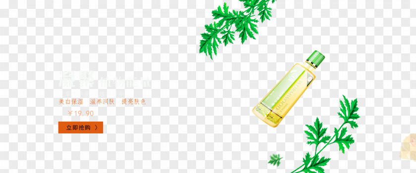Oil Cosmetic Moisturizing Botanical Essence Essential Leaf PNG