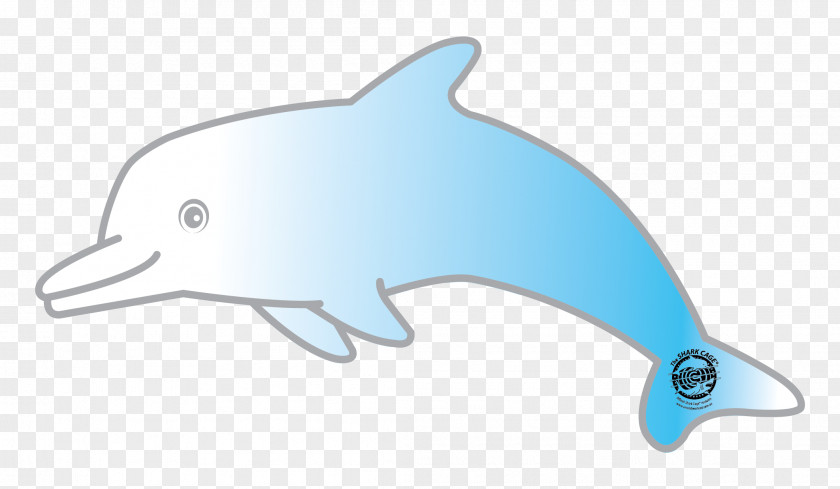 Silky Shark Cage Common Bottlenose Dolphin Tucuxi Porpoise Clip Art PNG