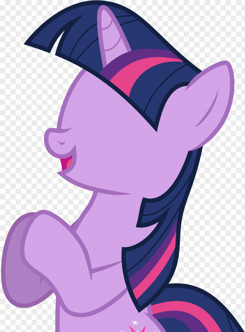 Sparkle Twilight Pinkie Pie Pony Rarity Rainbow Dash PNG