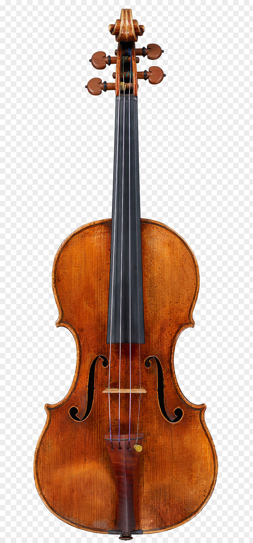 Violin String Instruments Stradivarius Musical Cello PNG