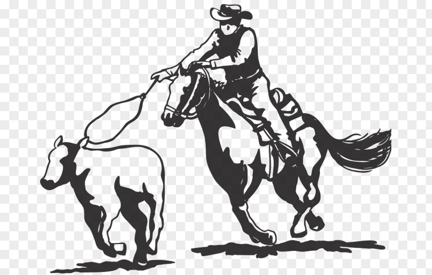 Bull Riding Calf Roping Corriente Rodeo Team Vector Graphics PNG