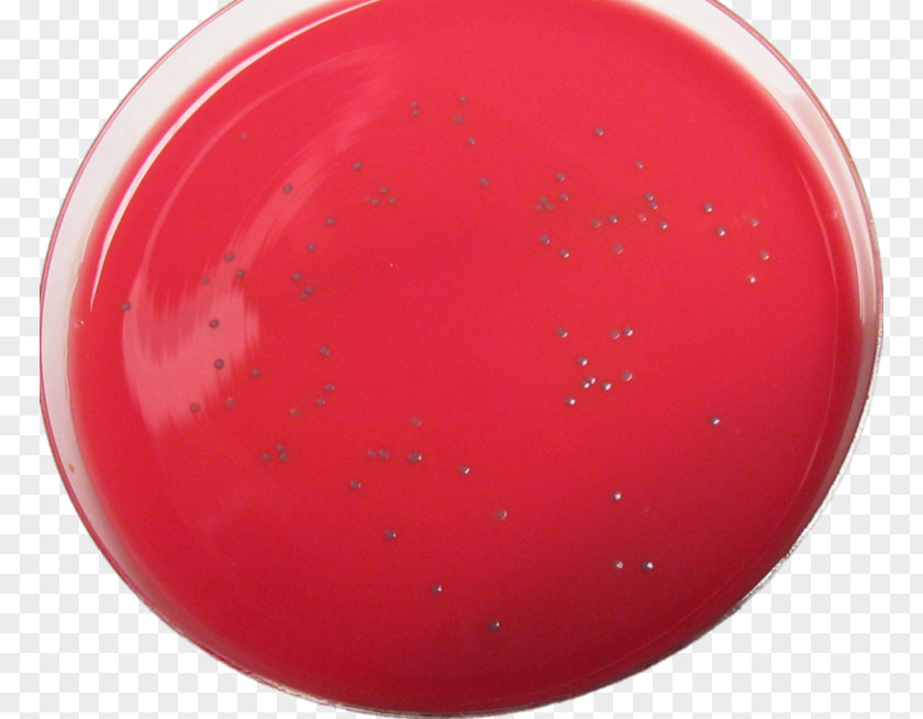 Cartoon Pathogen 2011 United States Listeriosis Outbreak Listeria Monocytogenes Bacteria Infectious Mononucleosis PNG