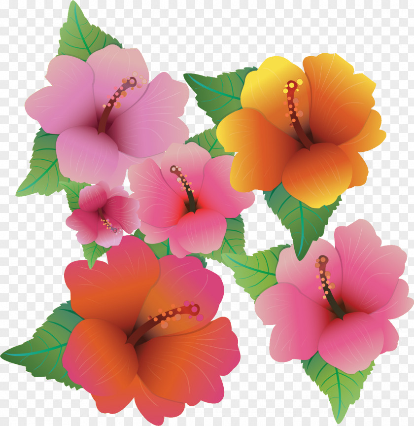 Flower PNG