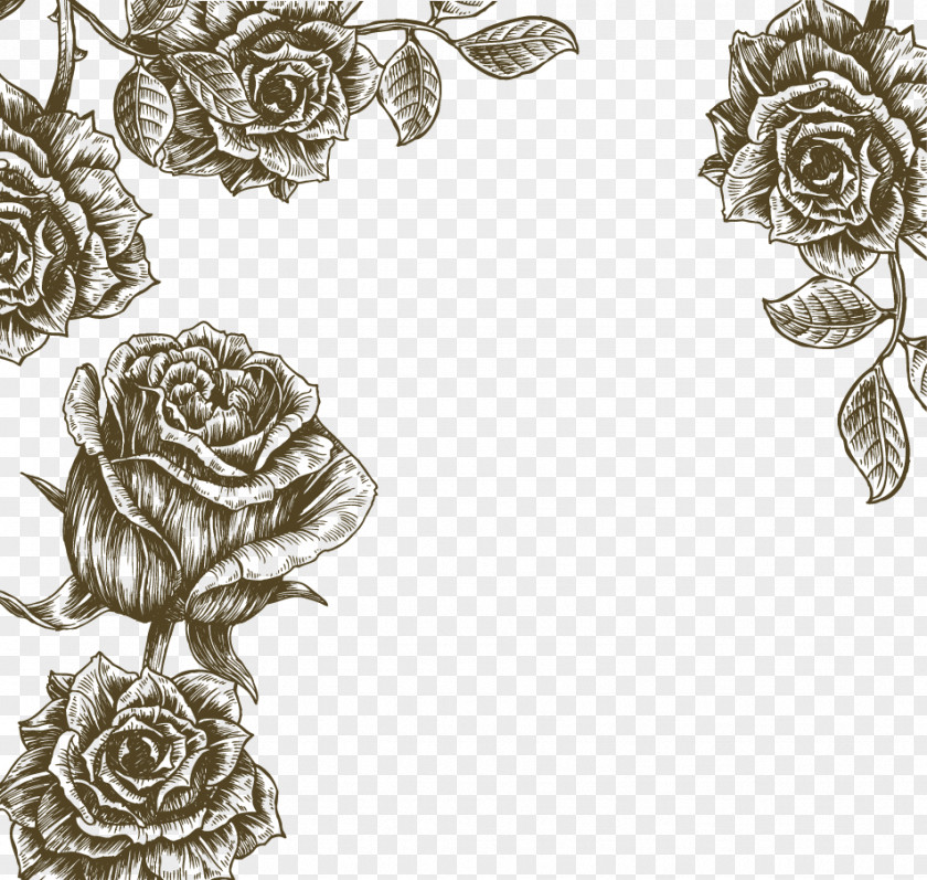 Retro Flower Rose Illustration PNG
