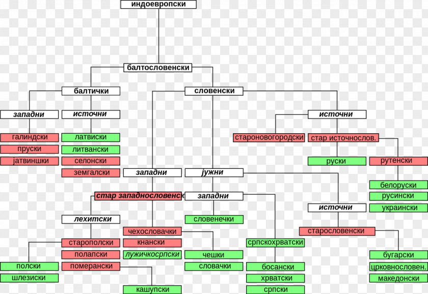 Baltoslavic Languages Slavic Indo-European Czech Bulgarian PNG