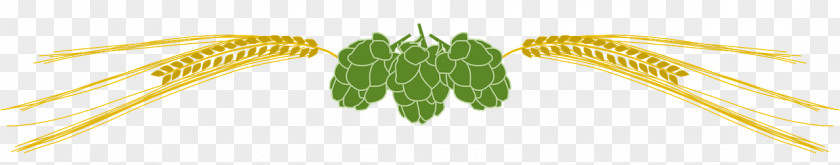Beer Common Hop Brewmaster Cereal Brewery PNG
