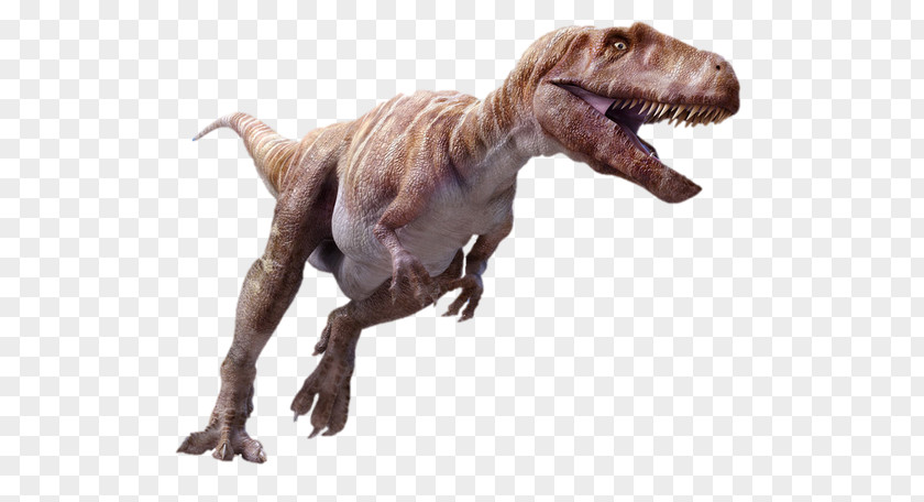 Dinosaur Megalosaurus Spinosaurus Ceratosaurus Iguanodon Tyrannosaurus PNG