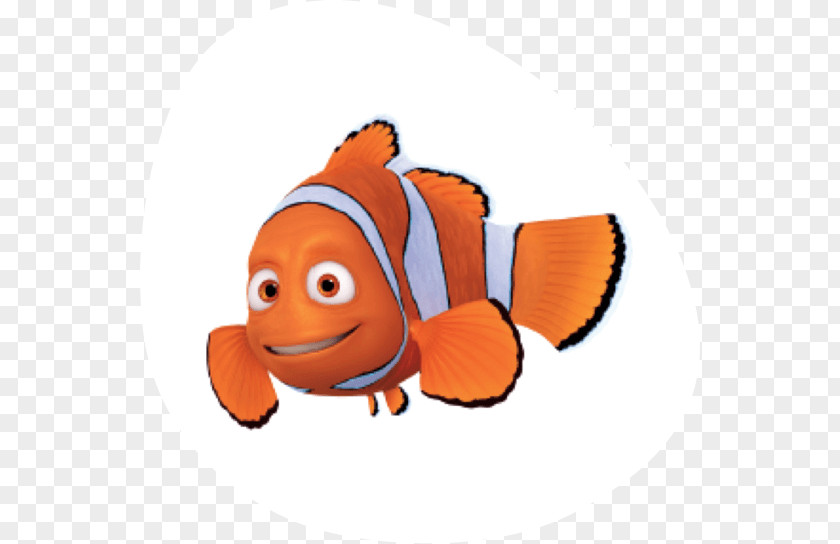 Finding Nemo Marlin YouTube Film PNG