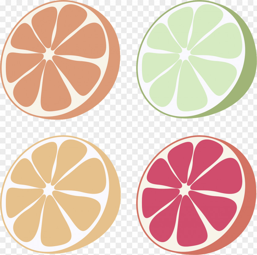 Fruit Plant Citrus Grapefruit Clip Art Lemon PNG