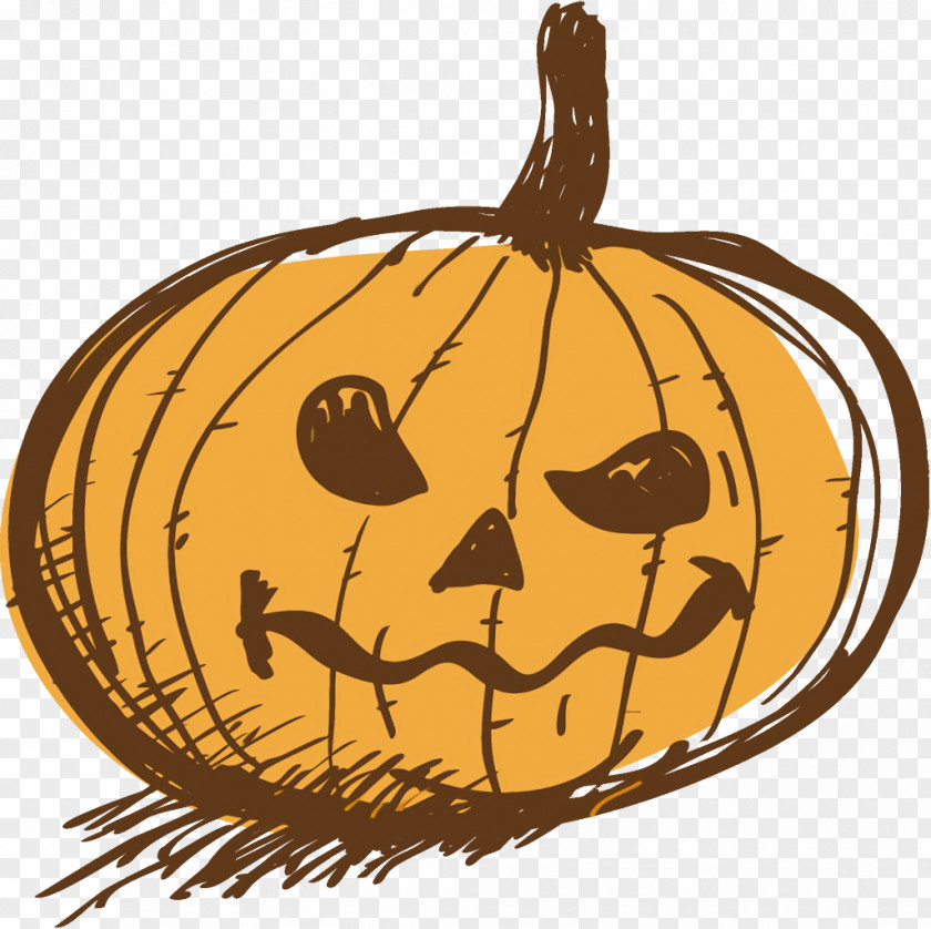 Gourd Fruit Jack-o-Lantern Halloween Carved Pumpkin PNG