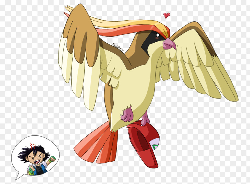 Pidgeot Pidgeotto Pokémon FireRed And LeafGreen Ash Ketchum GO Red Blue PNG