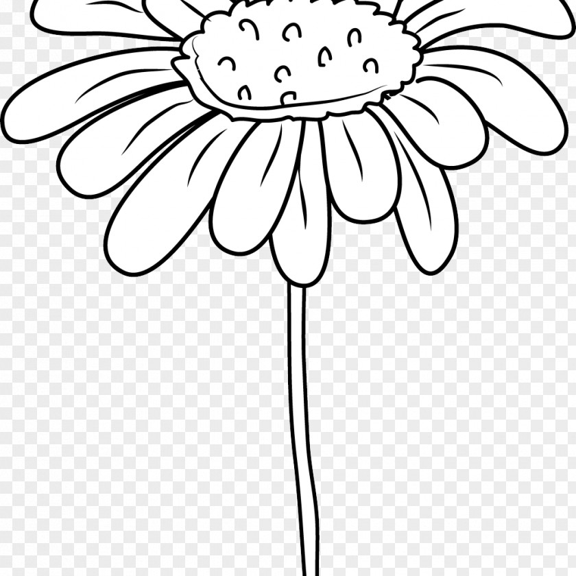 Black And White Daisy Flower Clip Art Drawing Coloring Book Image PNG