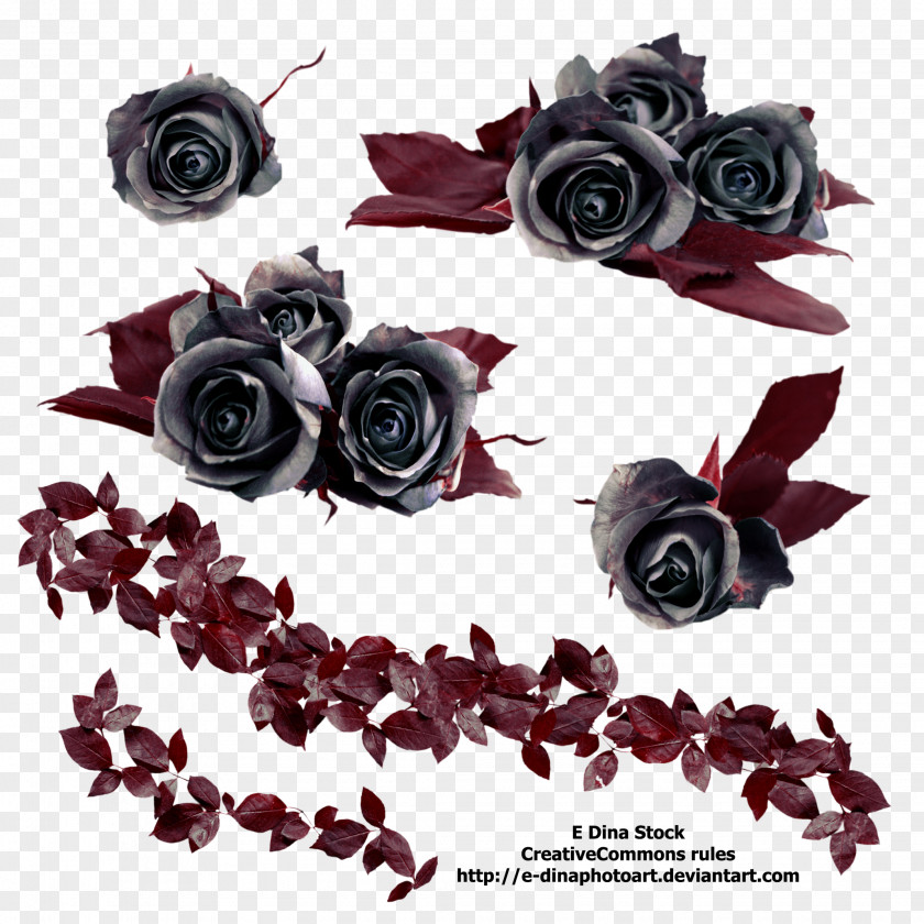 Black Rose Flower Clip Art PNG