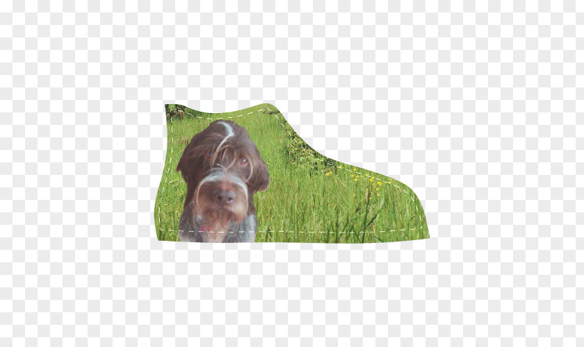 Kid-pointing Dog Breed Sporting Group Snout PNG