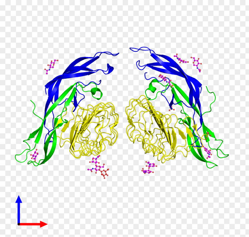 Molecular Chain Deductible Line Point Clip Art PNG