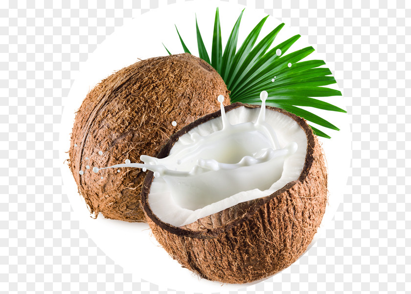 Coconut Milk Ice Cream Flavor PNG
