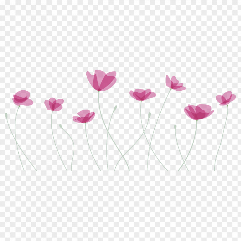 Poppy Flower PNG