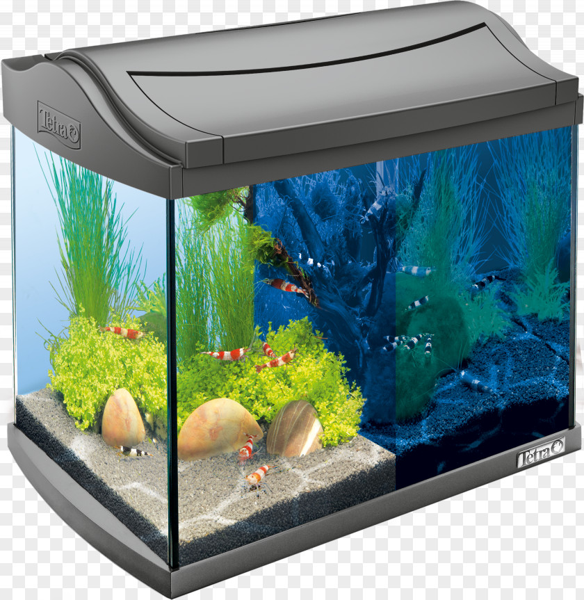 Shrimp Tetra Nano Aquarium Light-emitting Diode PNG