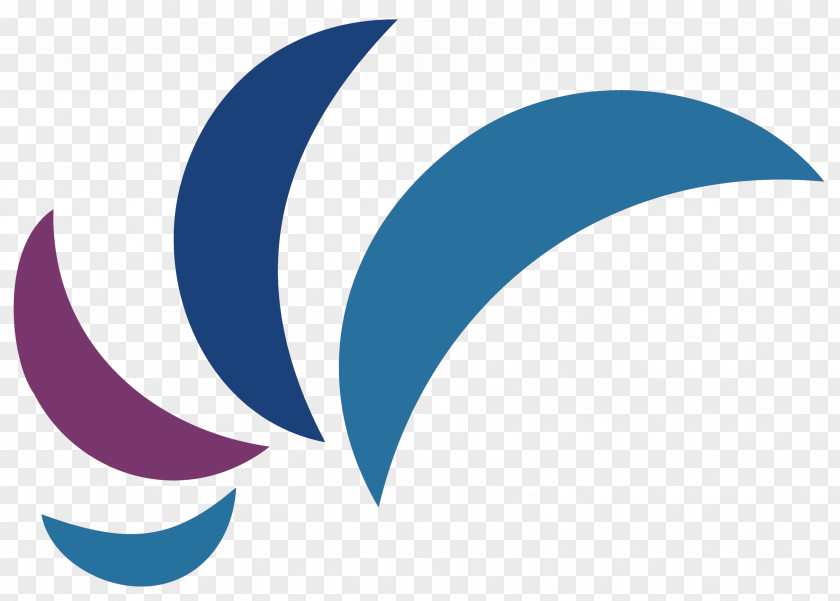 Bannar Infographic Logo Brand Clip Art Line Sky PNG