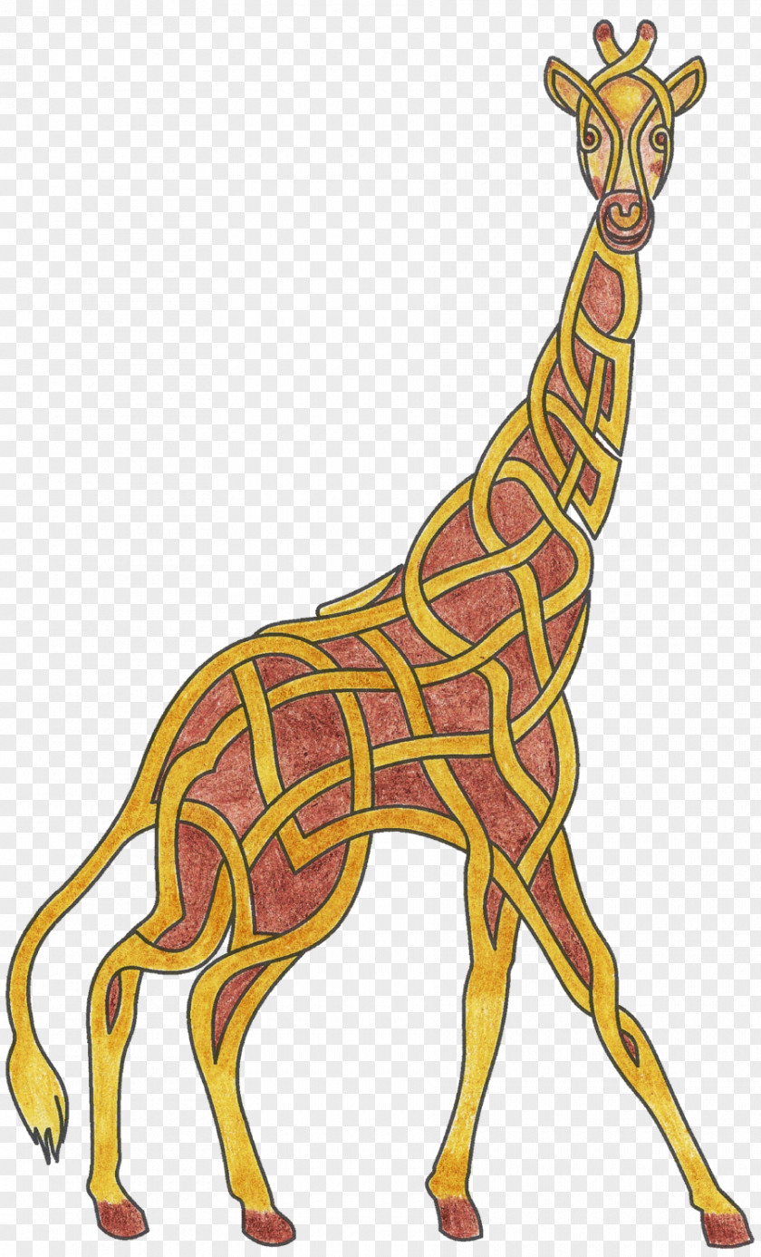 Giraffe Art Neck Animal Clip PNG