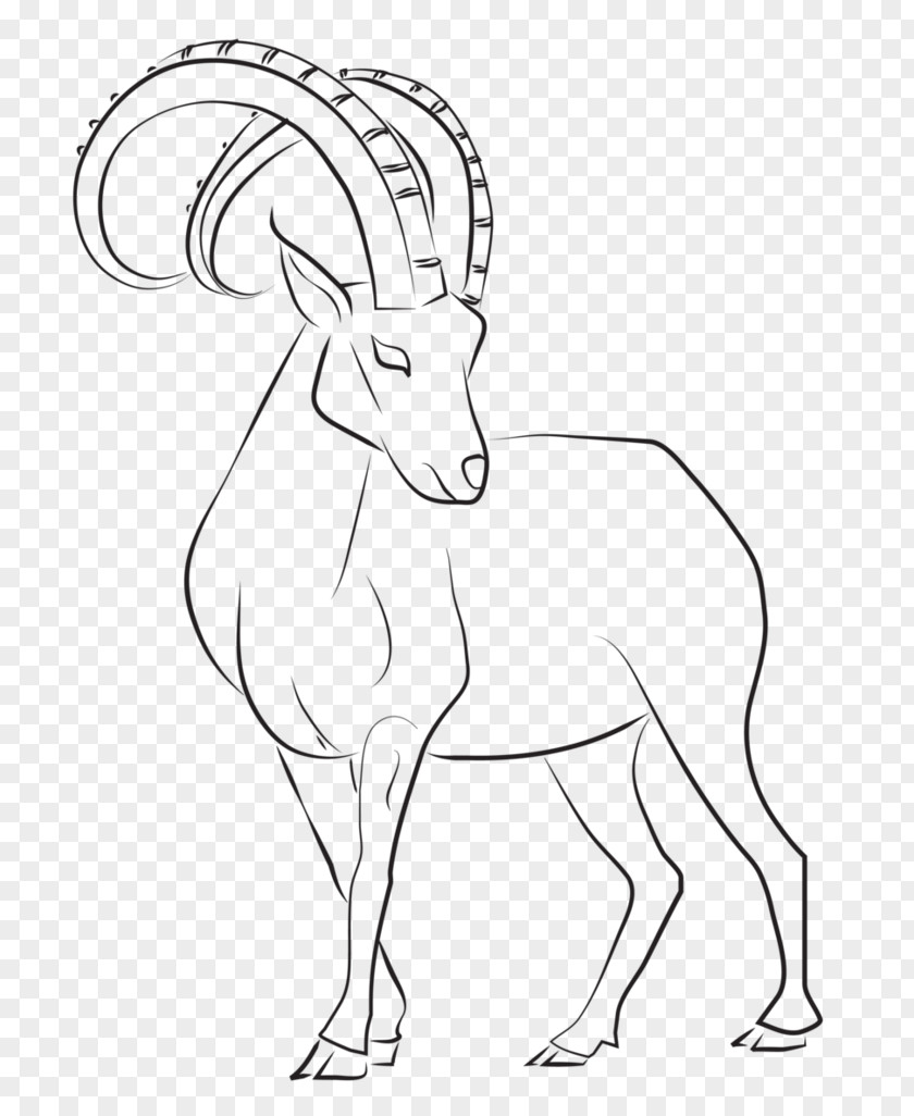 Goat Alpine Ibex Drawing Line Art Tattoo PNG