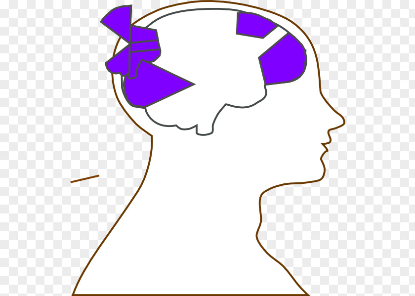 Brain Outline Of The Human Head Clip Art PNG