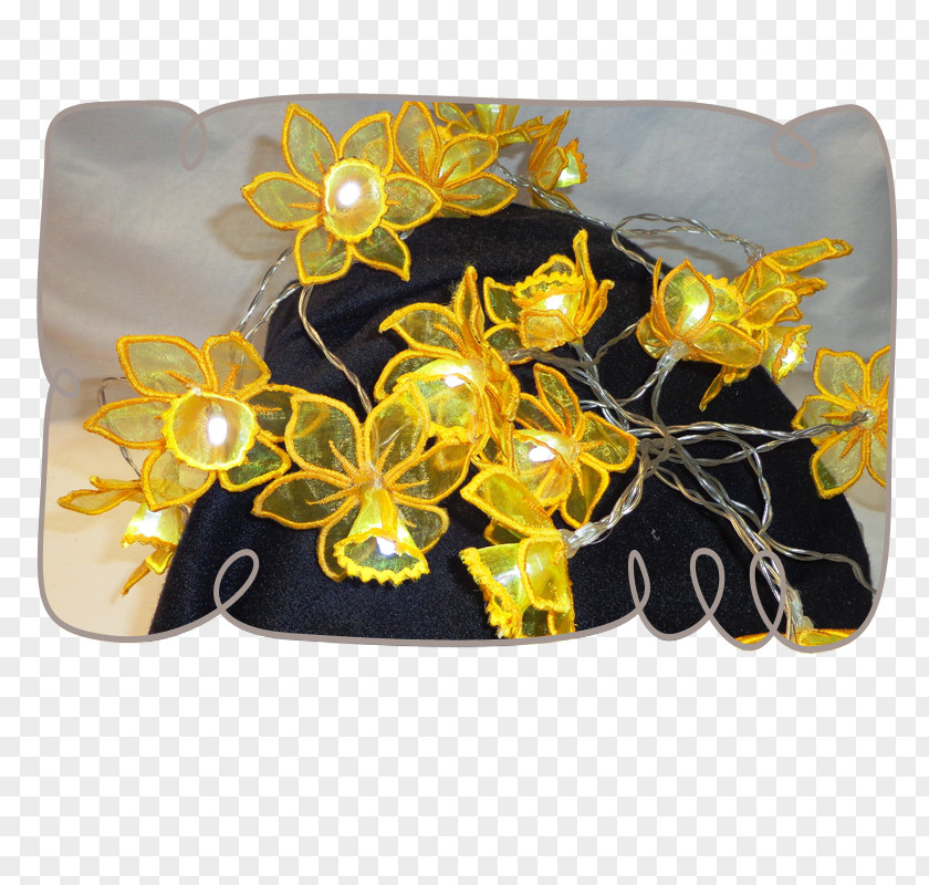 Fairy Lights Insect Pollinator Membrane PNG