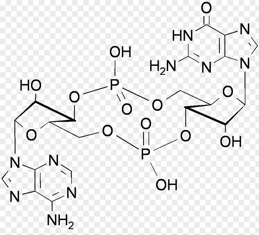 Gmp Cyclic Adenosine Monophosphate Guanosine PNG