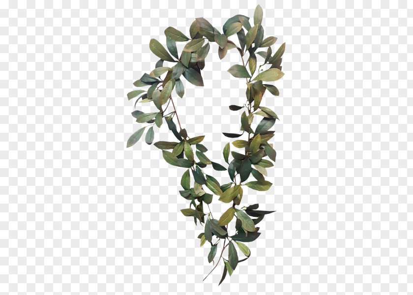 Greenery Bay Laurel Garland Wreath Leaf Branch PNG