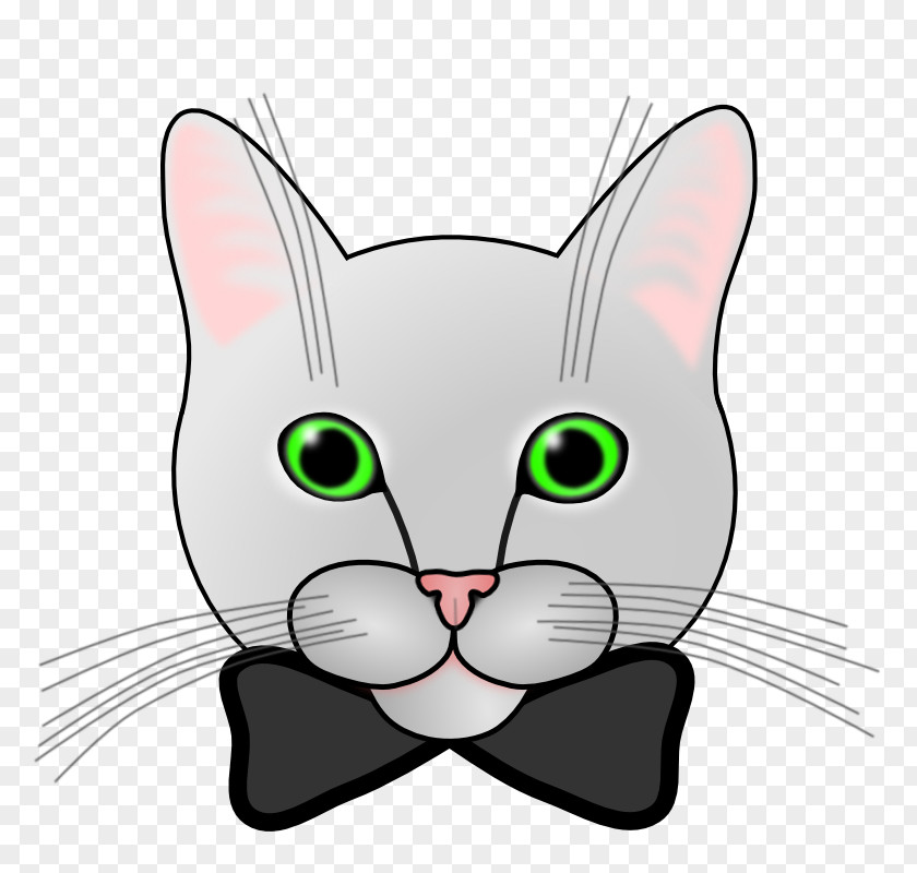 Kitten Whiskers Domestic Short-haired Cat Snout PNG