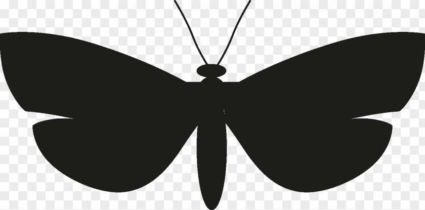 Metal Blackandwhite Butterfly Silhouette PNG