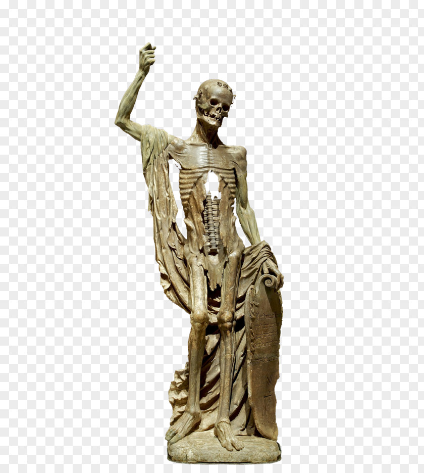 Skeleton Statue Martwa Natura Z Czaszką PNG