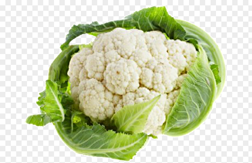 Cauliflower Mashed Potato Organic Food Vegetable PNG