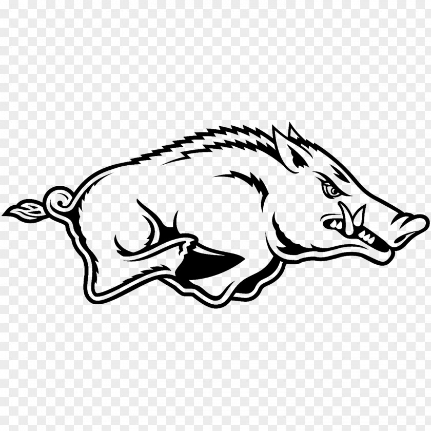 Domestic Pig Fish American Football Background PNG